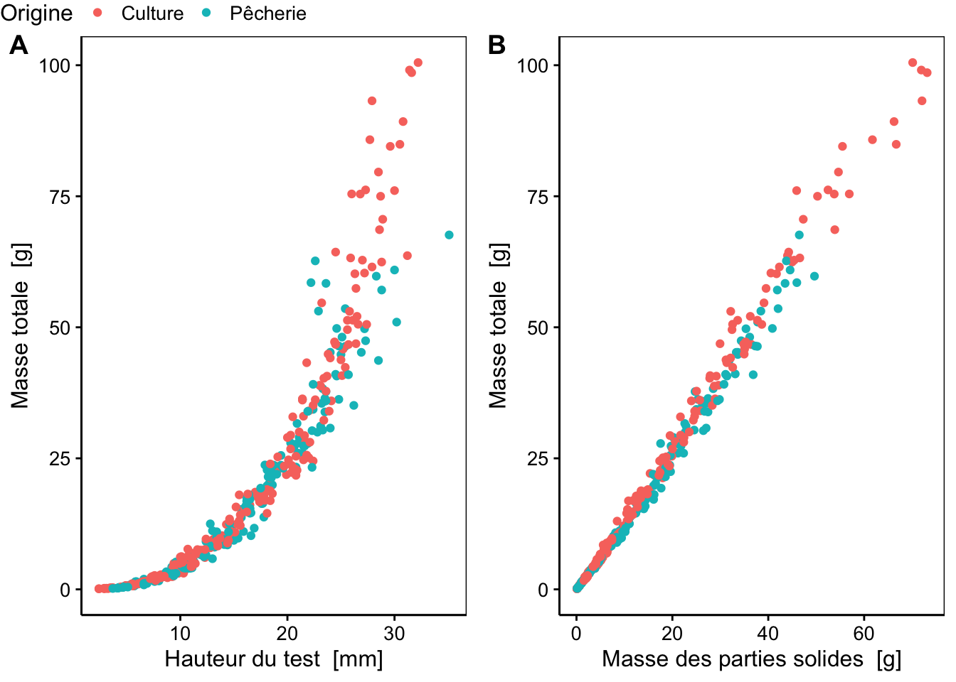 A) Masse d'oursins en fonction de leur taille  et de leur origine. B) Masse totale en fonction de la masse des parties solides de ces mêmes oursins.