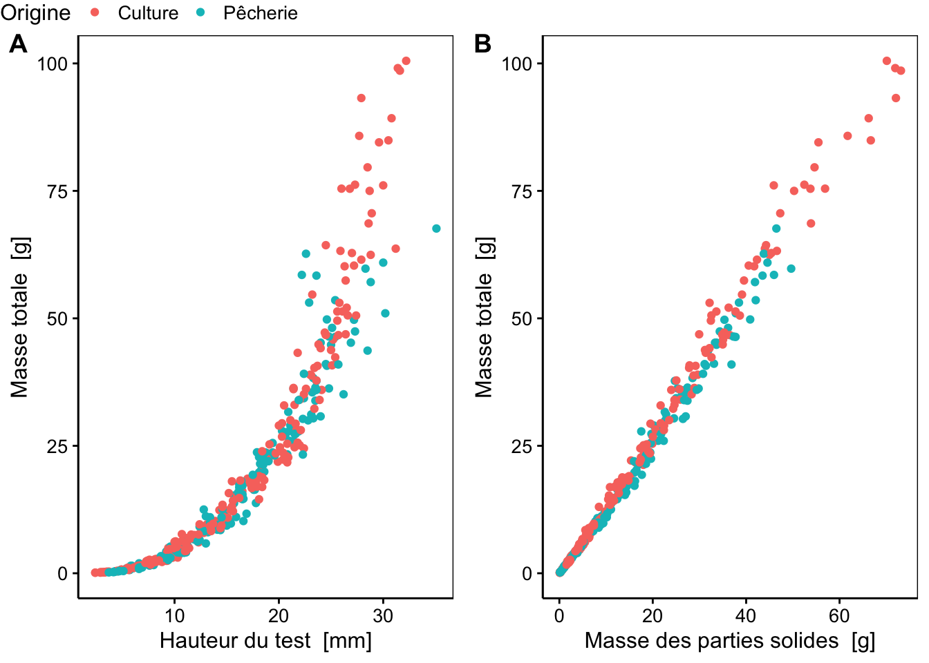 A) Masse d'oursins en fonction de leur taille et de leur origine. B) Masse totale en fonction de la masse des parties solides de ces mêmes oursins.