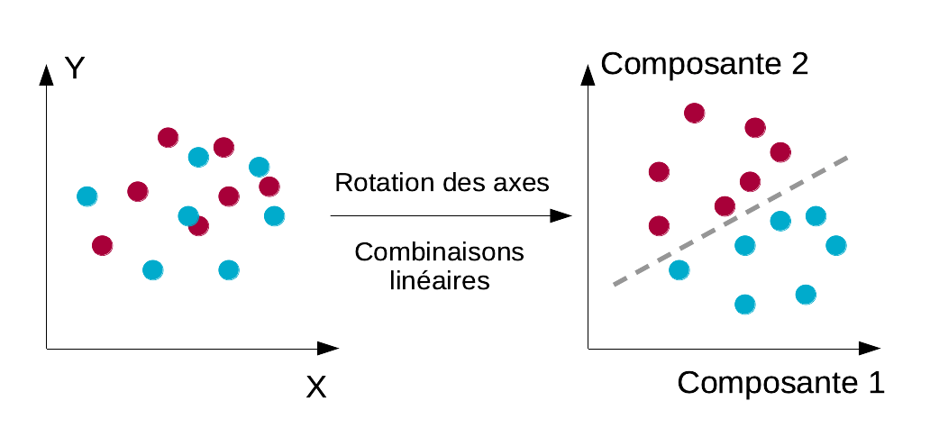 Schéma de principe de rotation du système d’axes de l’ADL afin de maximiser la variance inter-groupe, et donc, de séparer au mieux ces groupes dans le nouveau système d’axes. La séparation du plan à l’aide d’une droite à égale distance des barycentres des groupes définit des sous-régions qui correspondent à chacune des classes.