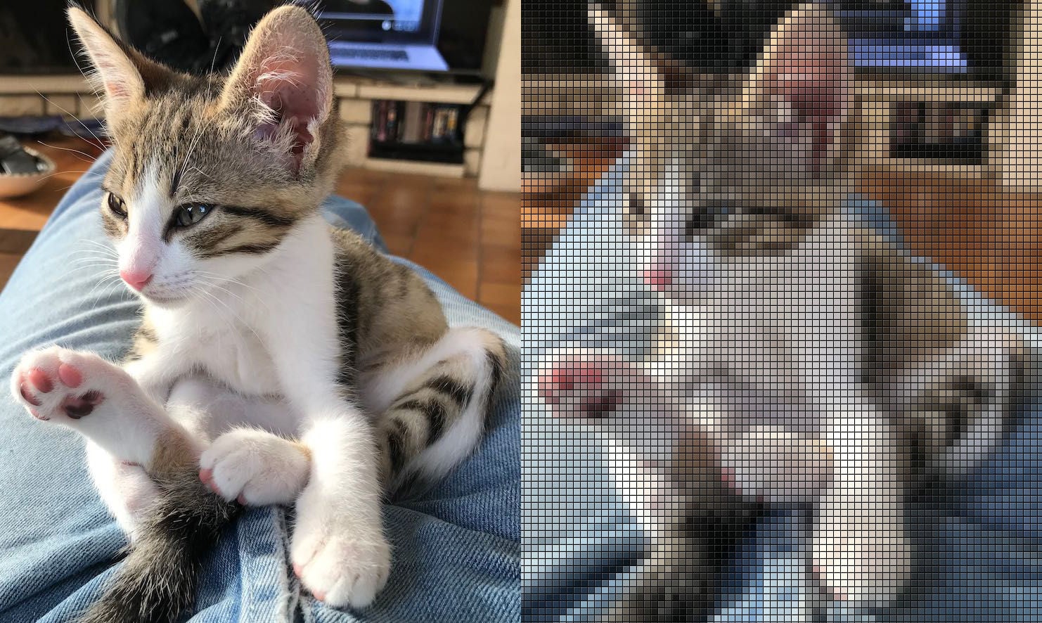 Une image numérique non vectorielle, tout comme une couche d’information géographique, est un “raster” constitué d’une grille de petits carrés (les pixels) auxquels on attribue une valeur (une couleur pour l’image). Ainsi l’image d’un chat à gauche est encodée à droite sous forme d’une grille de pixels bien visible à la basse résolution choisie ici.